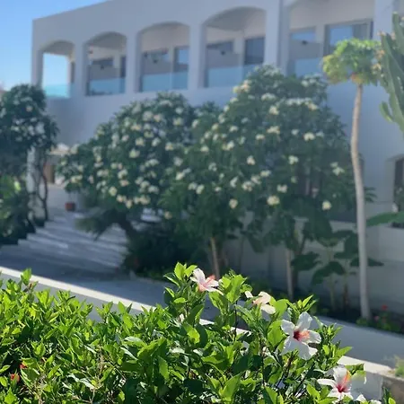 Pals Pefkos 3* Pefki