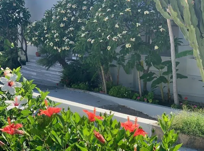 Aparthotel Pals Pefkos 3*