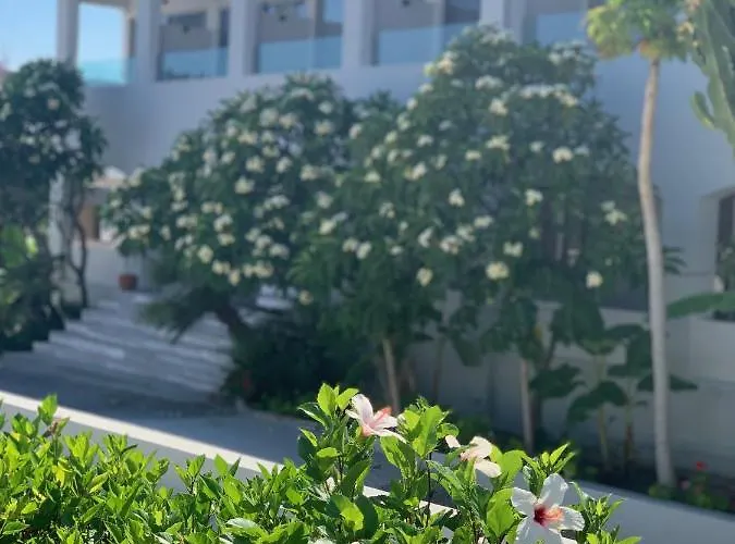 Pals Pefkos 3* Pefki (Rhodes)